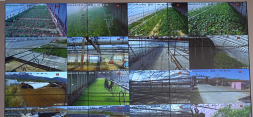 農業(yè)農村局打造區(qū)域數字農業(yè)發(fā)展新模式 智能農業(yè)管理的創(chuàng)新實踐