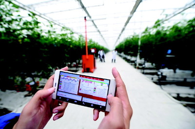 智慧農業(yè)造就農業(yè)工廠——智能農業(yè)管理助力臨邑農業(yè)現代化