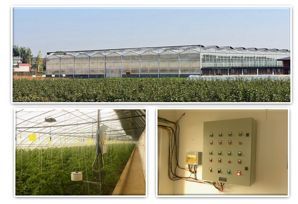 為了農業(yè)理想銷毀400萬農產品 元真梨背后的智能農業(yè)探索