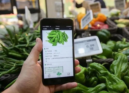 為什么要農產品溯源？一文為你解答智能農業(yè)管理