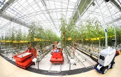 點點手機就能管理大棚，濰坊壽光以數(shù)字化賦能蔬菜產(chǎn)業(yè)升級