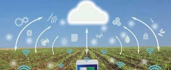 構建新農業 智能農業管理的創新與實踐探索